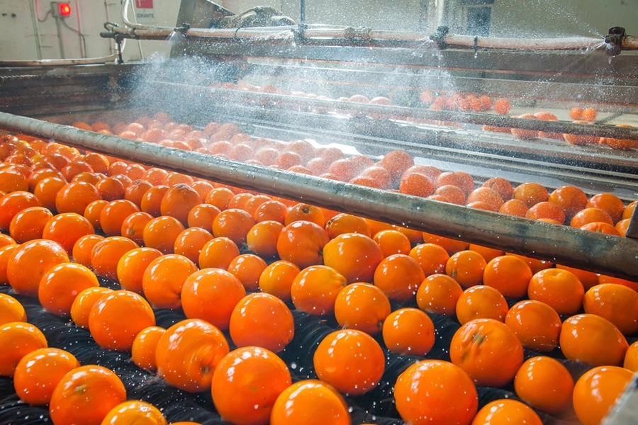 food grade bearings - Preparation