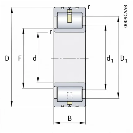 LSL192317 Cylindrical Roller Bearings
